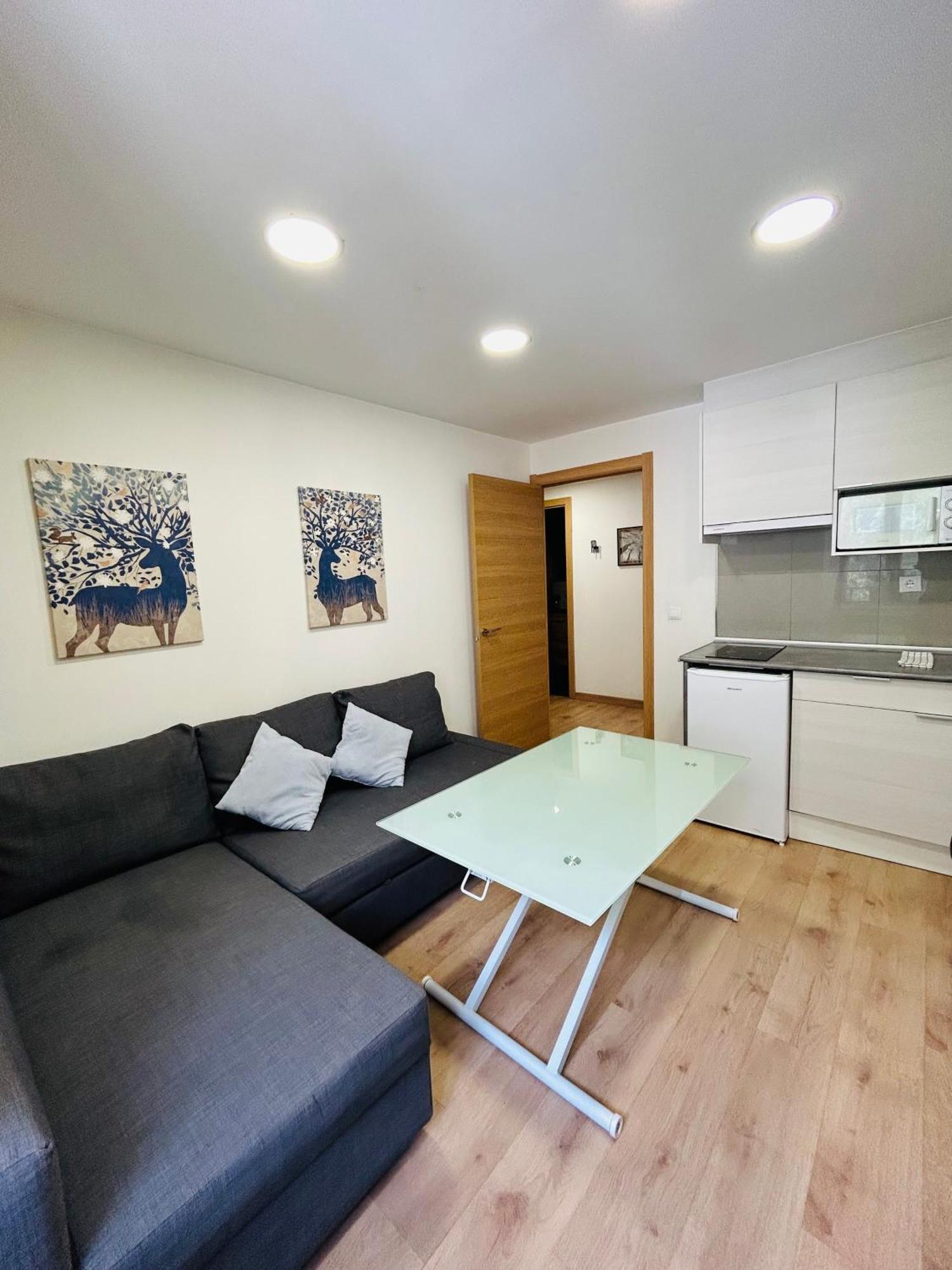 Apartahotel Канфранк Екстериор снимка